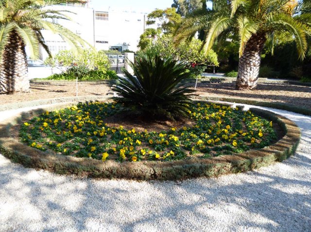 p1010173_flower_bed.jpg